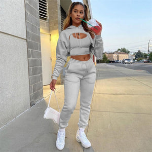 Autumn Fleece Pink 3 Three Piece Sets Tracksuit Women Outfits Sweat suits